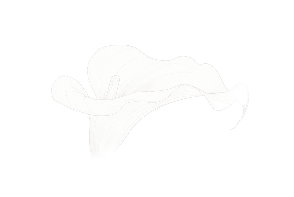 WhatsApp Image 2025-08-22 at 16.29.55